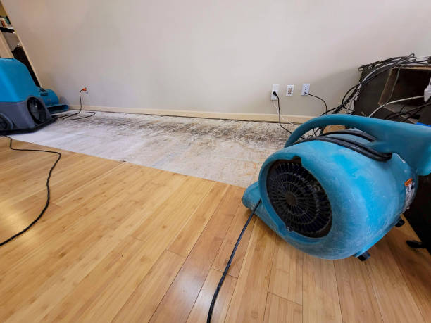 Professional Ceiling Water Damage Repair technician working in Jerome, ID